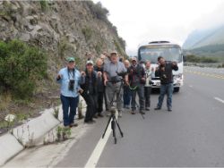 Spectacled Bear Celebration